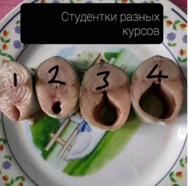 Студентки разных курсов