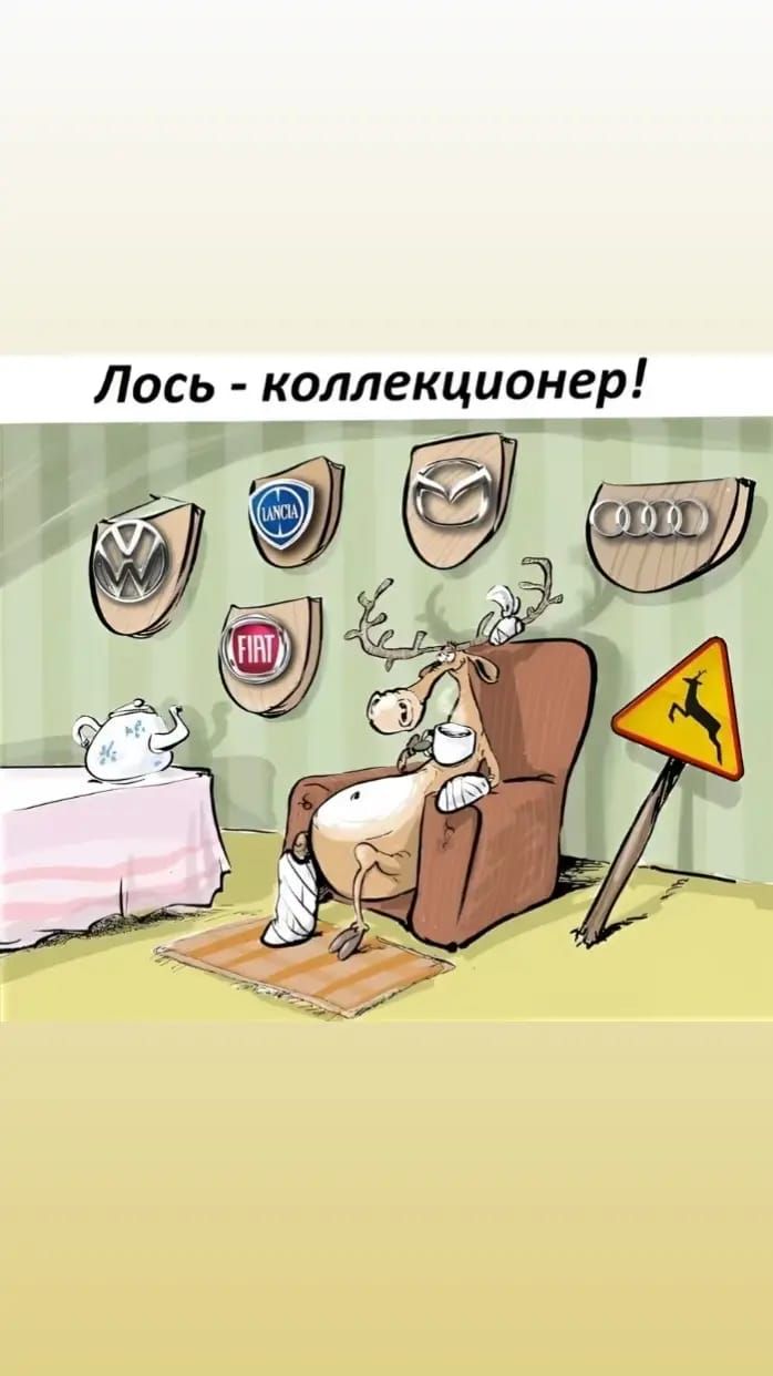 Лось коллекционер