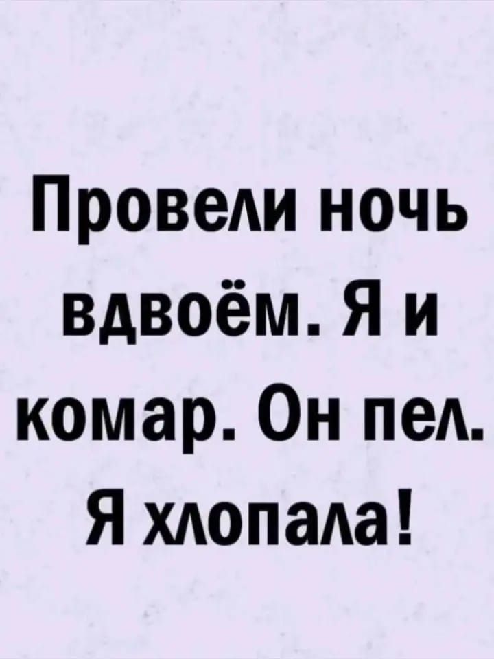 Проведи ночь вдвоём Я и комар Он пед Я хдопаАа