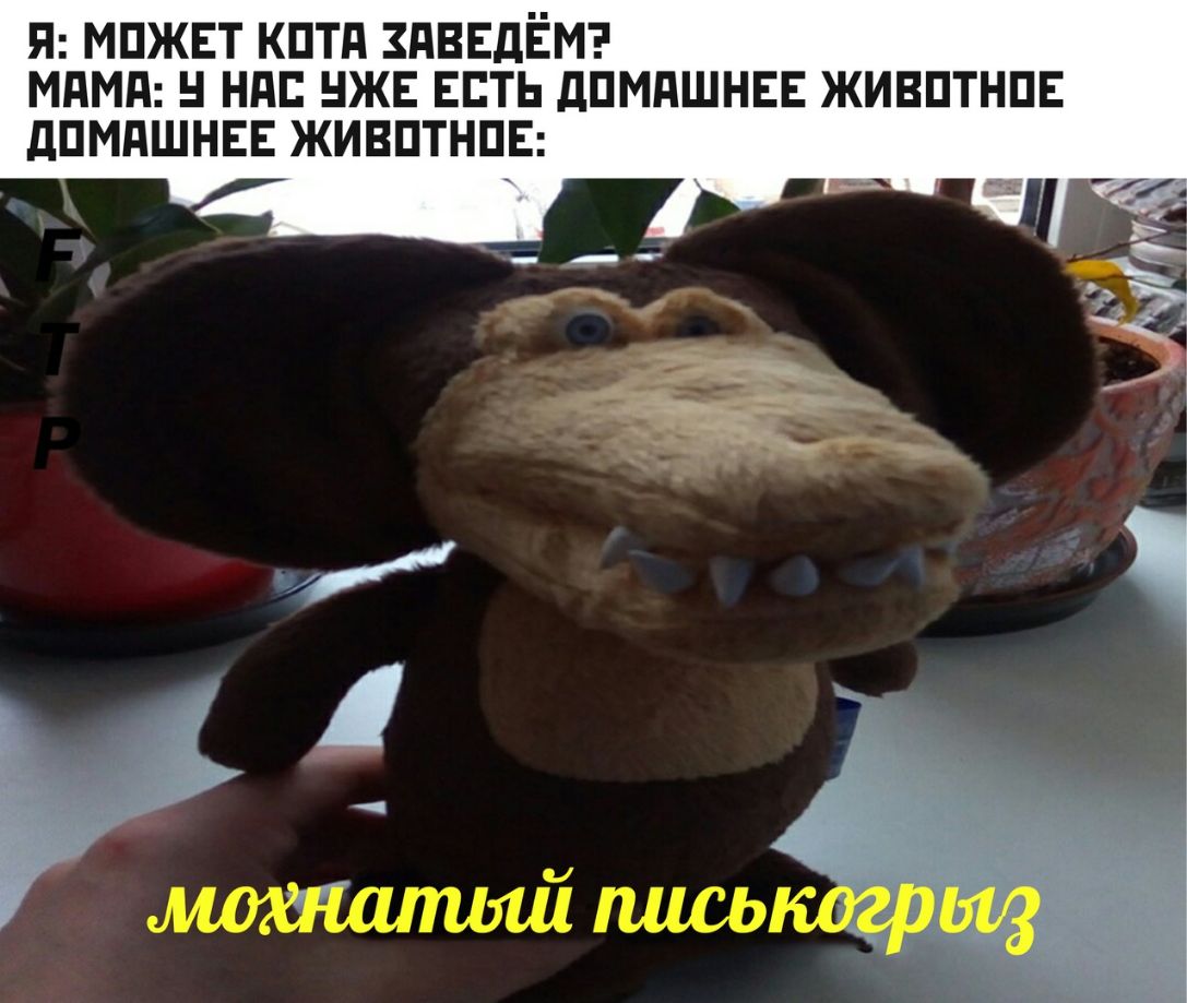 п мпжвт кптд здввдЁмэ мдмд н нд нжъ есть дпмдшнвв живптнпв дпмдшнвв живптнпв