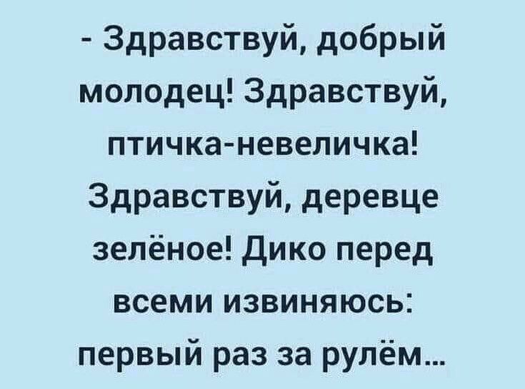 Здравствуй добрый молодец Здравствуй птичка невеличка Здравствуй деревце зелёное Дико перед всеми извиняюсь первый раз за рулём