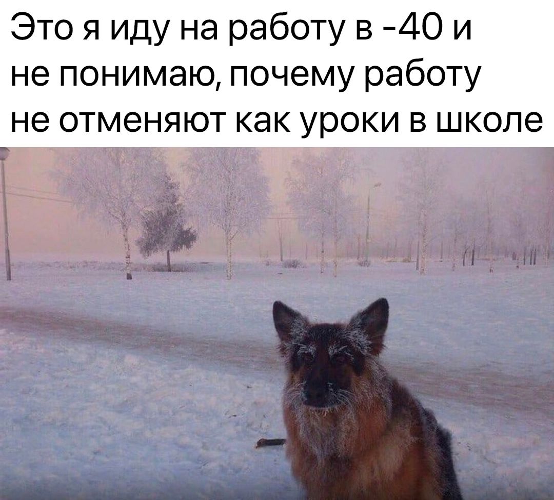 Это я иду на работу в 40 и не понимаю почему работу не отменяют КЭК уроки В школе