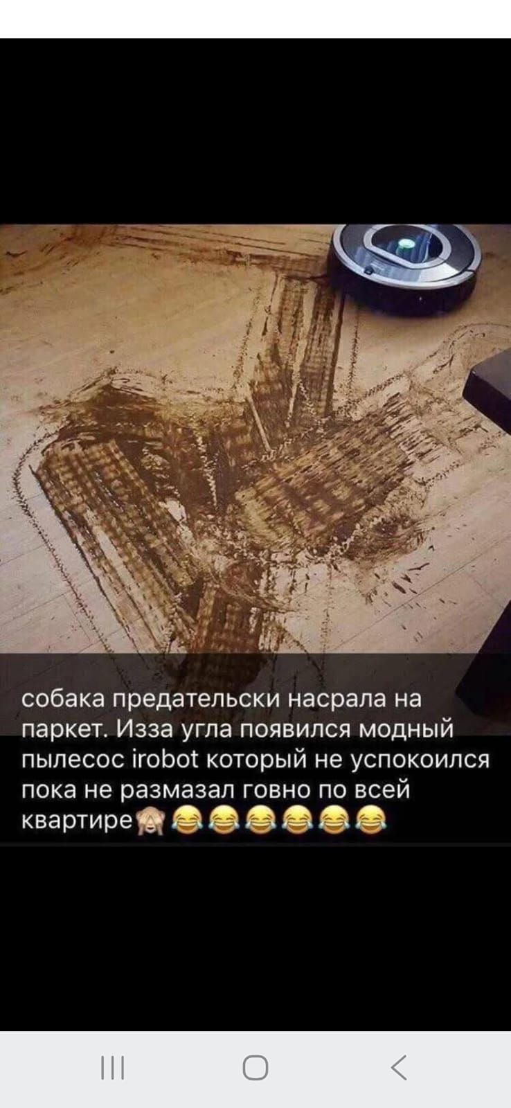 собака предательски насрала на паркете. Из-за угла появился модный пылесос irobot который не успокоился пока не размазал говно по всей квартире 🤦‍♂️😂😂😂😂