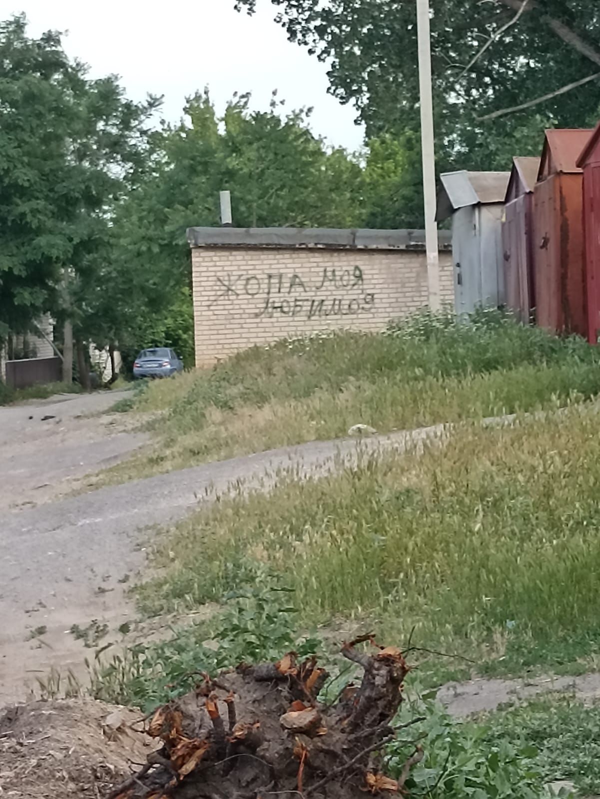 ХОЧА МОЯ НОЧИНОГИ