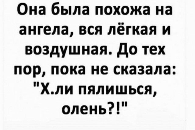 Она была похожа на ангела вся лёгкая и воздушная До тех пор пока не сказала Хли пялишься олень