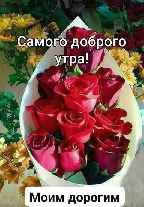 С_ам6годо6рогр Моим дорогим