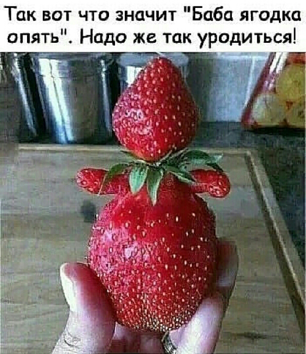 Так вот что значит Баба ягодка опять Надо же так уродиться