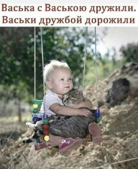 Васька с Ваською дружили Васьки дружбой дорожили