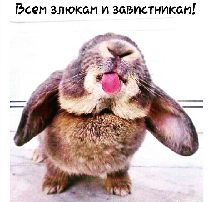 Всем злюкам и завистниксм
