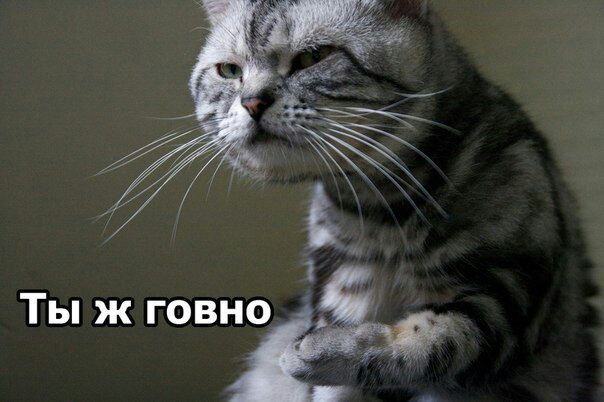 7 Ж Ты ж говно