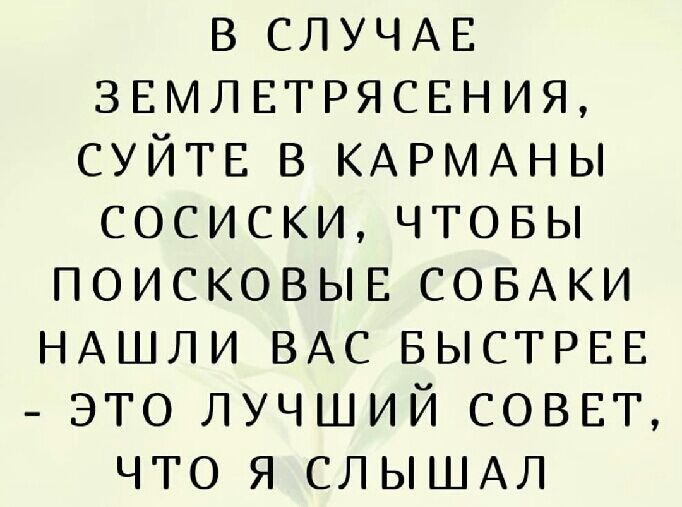 в СЛУЧАЕ ЗЕМЛЕТРЯСЕНИЯ СУЙТЕ в КАРМАНЫ сосиски чтовы ПОИСКОВЫЕ СОБАКИ НАШЛИ ВАС БЫСТРЕЕ это лучший СОВЕТ что я СЛЫШАЛ