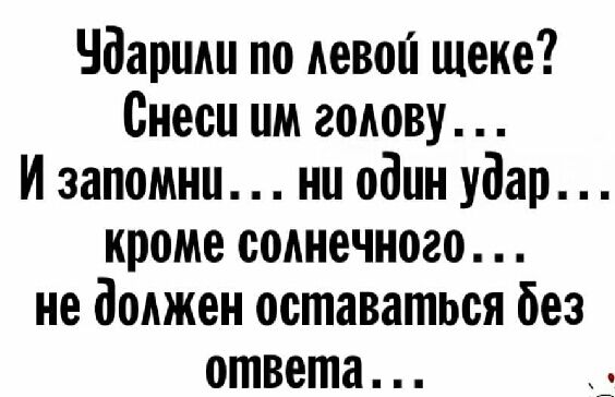 Чдаршш по левой щеке Внеси им голову И запомни ни один удар кроме солнечного не доджен оставаться без ответа
