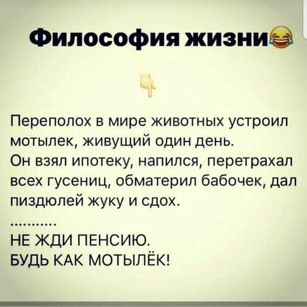 Философия жизние Переполох в мире животных устроил мотыпек живущий один день Он взял ипотеку напился перетрахап всех гусениц обматерил бабочек дал пиздюлей жуку и сдох НЕ ЖДИ ПЕНСИЮ БУДЬ КАК МОТЫЛЁК
