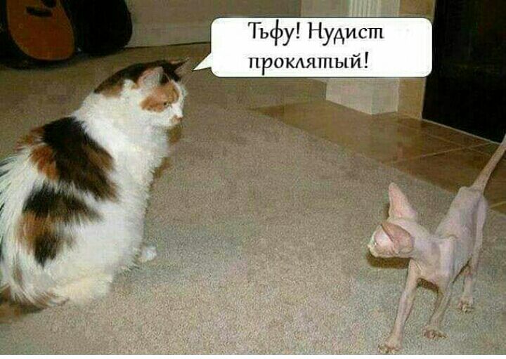 Тьфу НЗдйистп промятый