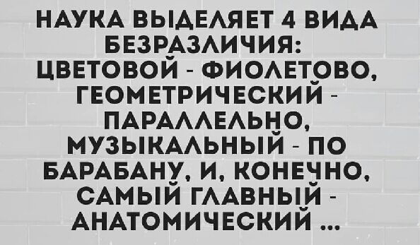 НАУКА ВЫАЕАЯЕТ 4 ВИАА БЕЗРАЗАИЧИЯ ЦВЕТОВОЙ ФИОАЕТРВО ГЕОМЕТРИЧЕСКИЙ ПАРАААЕАЬЦО МУЗЫКААЬНЫИ ПО БАРАБАНУ И КОНЕЗНО САМЫЙ ГААВНЬ_Й АНАТОМИЧЕСКИЙ