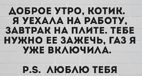 АОБРОЕ УТРО КОТИК Я УЕХААА НА РАБОТУ ЗАВТРАК НА ПАИТЕ ТЕБЕ НУЖНО ЕЕ 3АЖЕЧЬ ГАЗ Я УЖЕ ВКАЮЧИАА РЗ АЮБАЮ ТЕБЯ