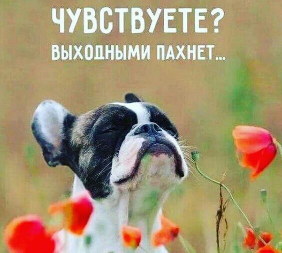 ЧУВСТВУЕТЕ выходными ПАХНЕЬ
