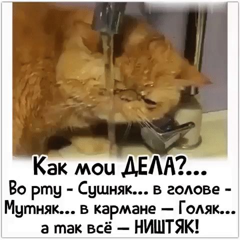Как мои ДЕДГ Во рту Сушняк в гОАове Митник в кармане ГОАЯК а так всё НИШТЯК