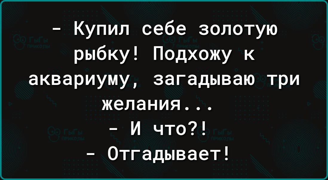 Купил себе золотую рыбку Подхожу к аквариуму загадываю три желания И что Отгадывает