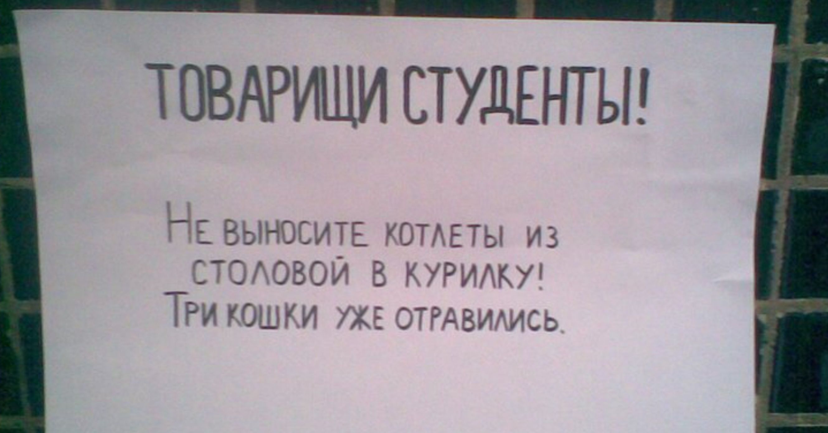 ТОВАРИЩИ СТУДЕНТЫ гя мтв типы из гт БОИ кугидку ТРишшги ок этгдвимсь