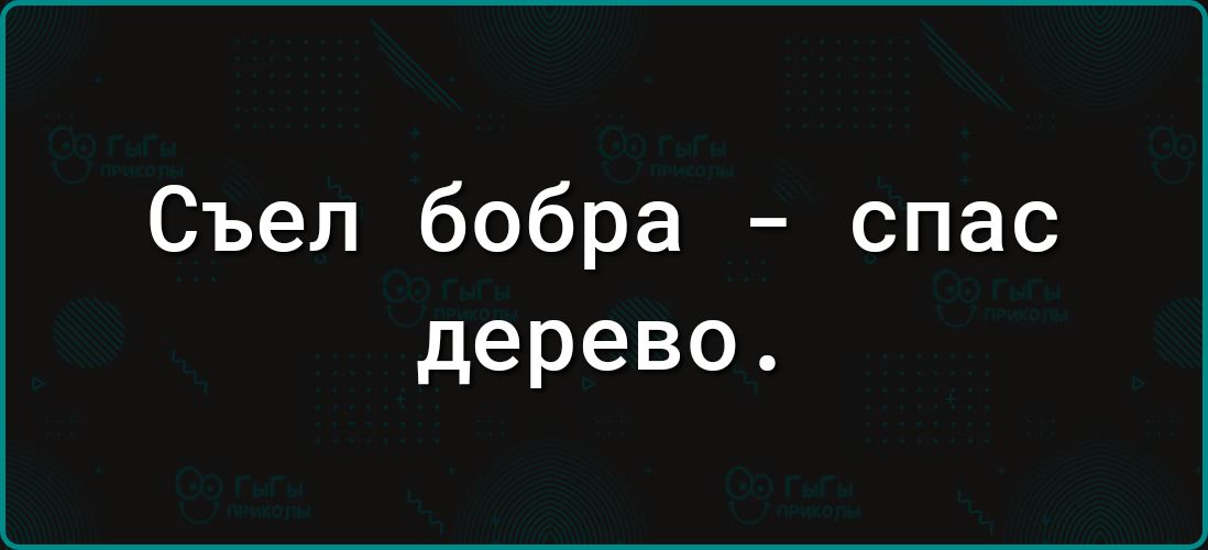 Съел бобра спас дерево