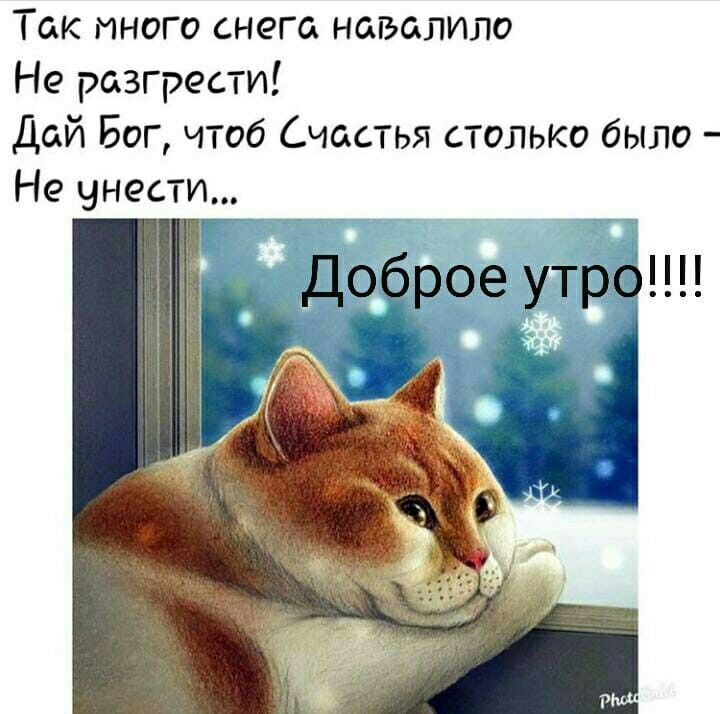 Так много снега навалило Не разгрести Дай Бог чтоб Счастья столько было Не унести