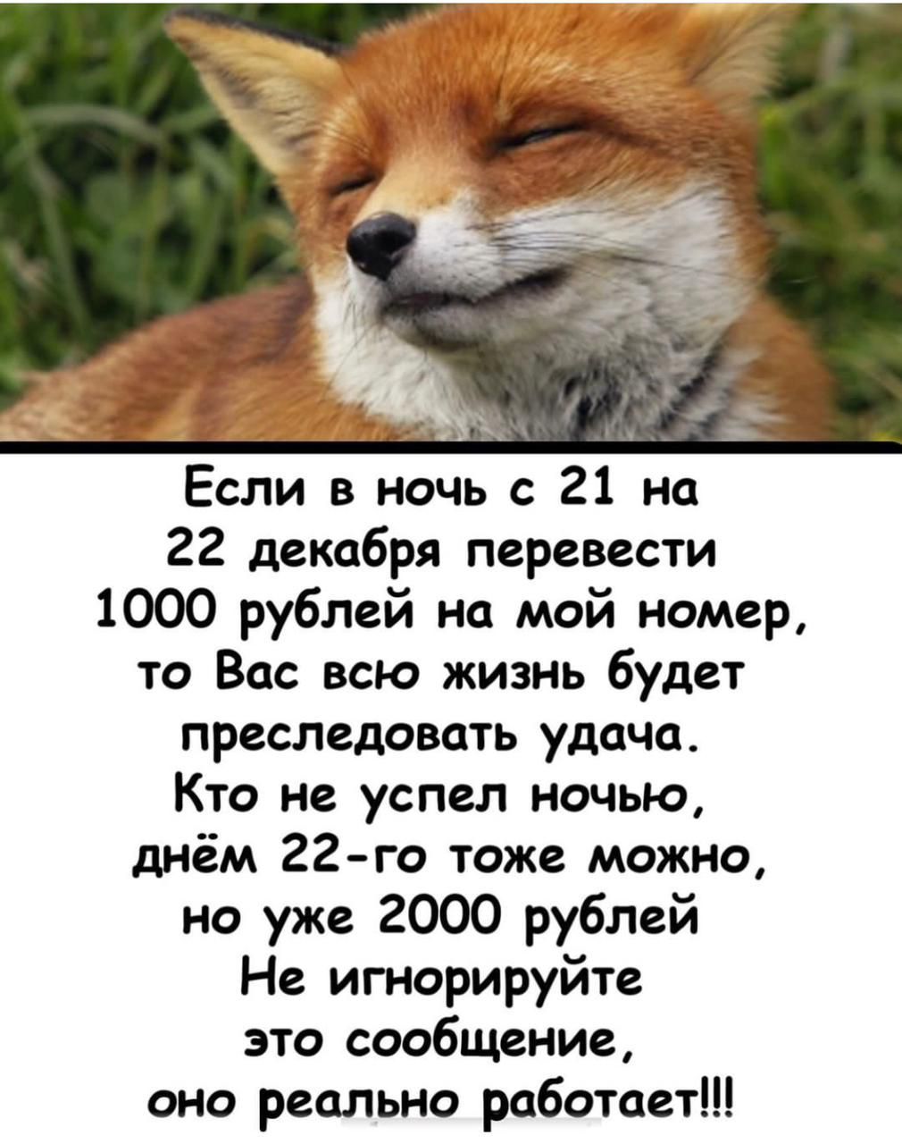 Если в ночь с 21 на 22 декабря перевести 1000 рублей на мой номер то Вас всю жизнь будет преследовать удача Кто не успел ночью днём 22 го тоже можно но уже 2000 рублей Не игнорируйте это сообщение оно реально работает