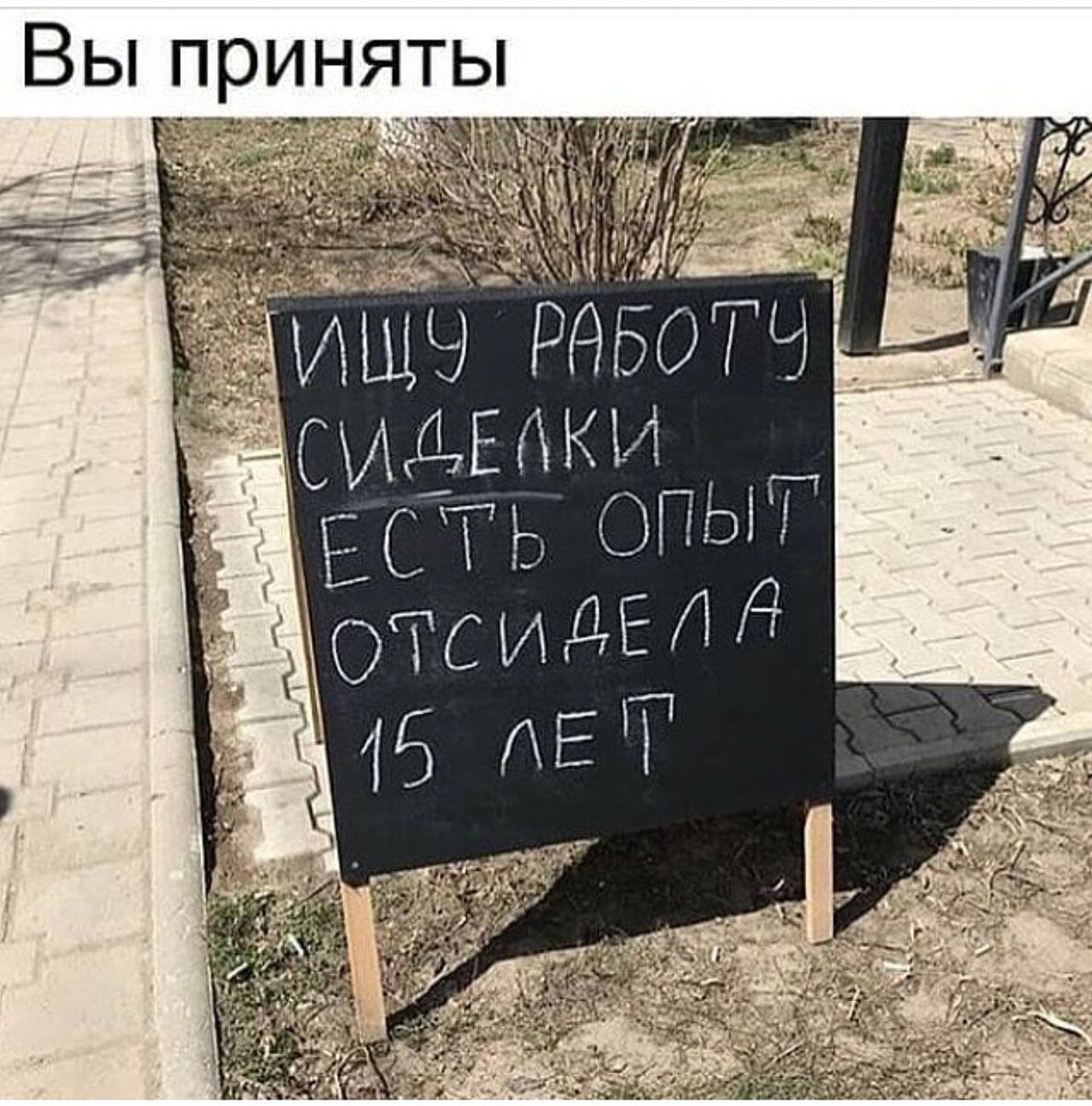 Вы приняты