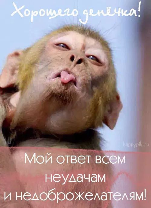 Хорошего денёчка! Мой ответ всем неудачам и недоброжелателям!