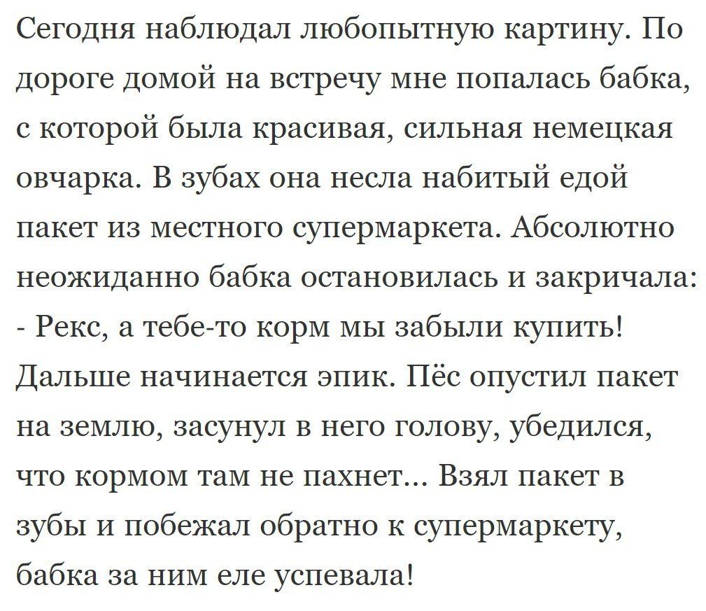 Сегодня наблюдал любопытную картину По дороге домой на встречу мне попалась бабка с которой была красивая сильная немецкая овчарка В зубах она несла набитый едой пакет из местного супермаркета Абсолютно неожиданно бабка остановилась и закричала Рекс а тебего корм мы забыли купить Дальше начинается эпик Пёс опустил пакет на землю засунул в него голову убедился что кормом там не пахнет Взял пакет в 