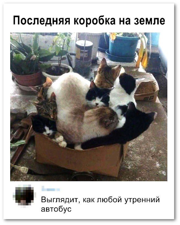 ПОСЛЕДНЯЯ коробка на земле Выглядит как любой утренний автобус