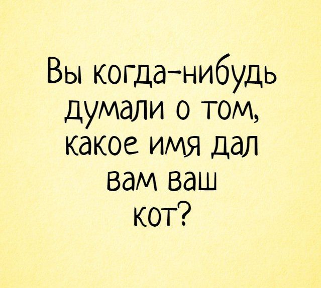 Вы когда нибудь думали о том какое имя дал вам ваш кот