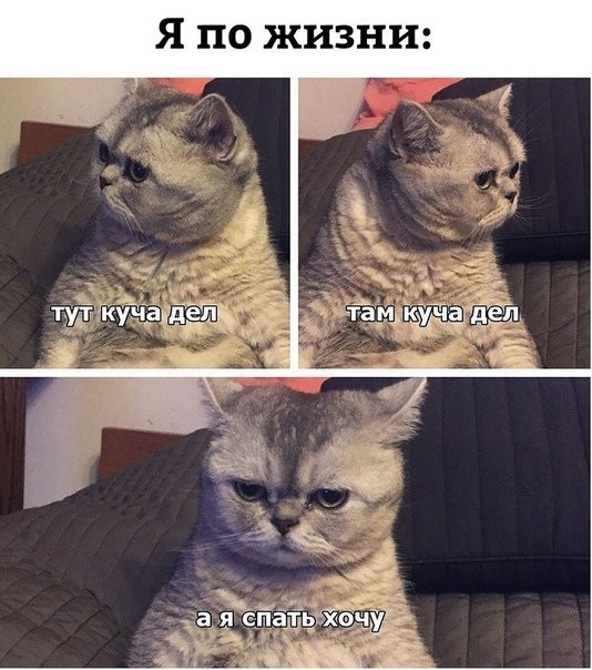 Я по жизни