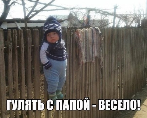 Платц пппой вюшчд