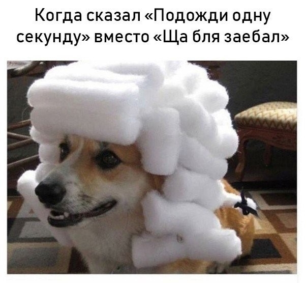 Когда сказал Подожди одну секунду вместо Ща бля заебал