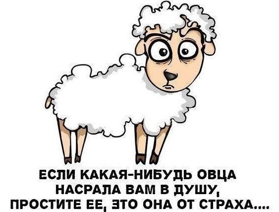 ЕСЛИ КАКАЯ НИБУДЬ ОВЦА НАСРАЛА ВАМ В дУШУ ПРОСТИТЕ ЕЕ ЭТО ОНА ОТ СТРАХА
