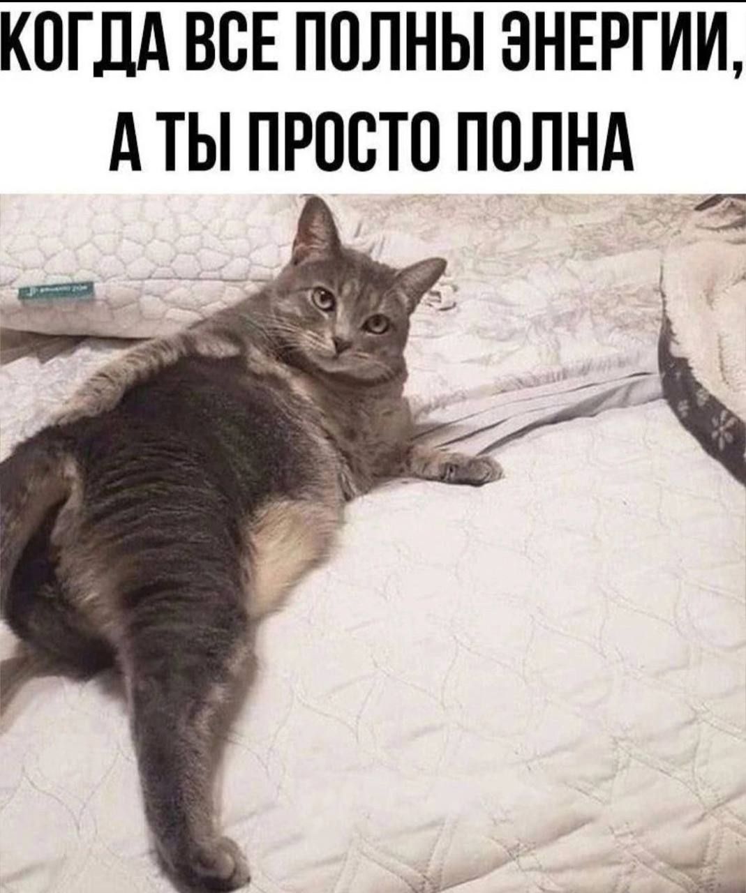 КОГДА ВСЕ ПОЛНЫ ЭНЕРГИИ, А ТЫ ПРОСТО ПОЛНА