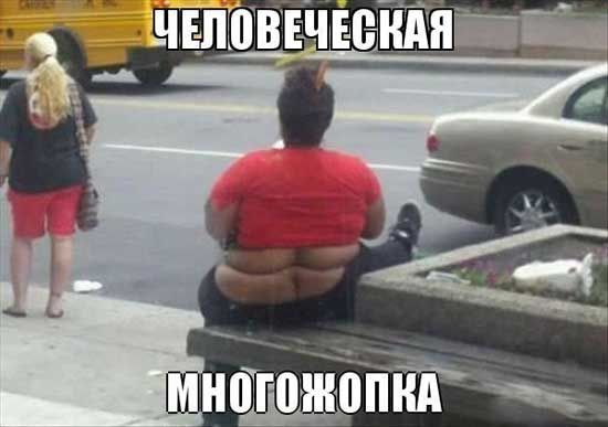 Человеческая многоёжопка