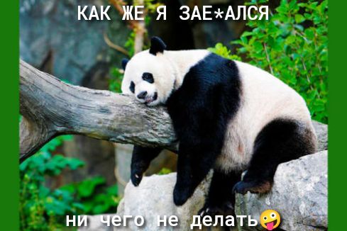 КАК я змемлся