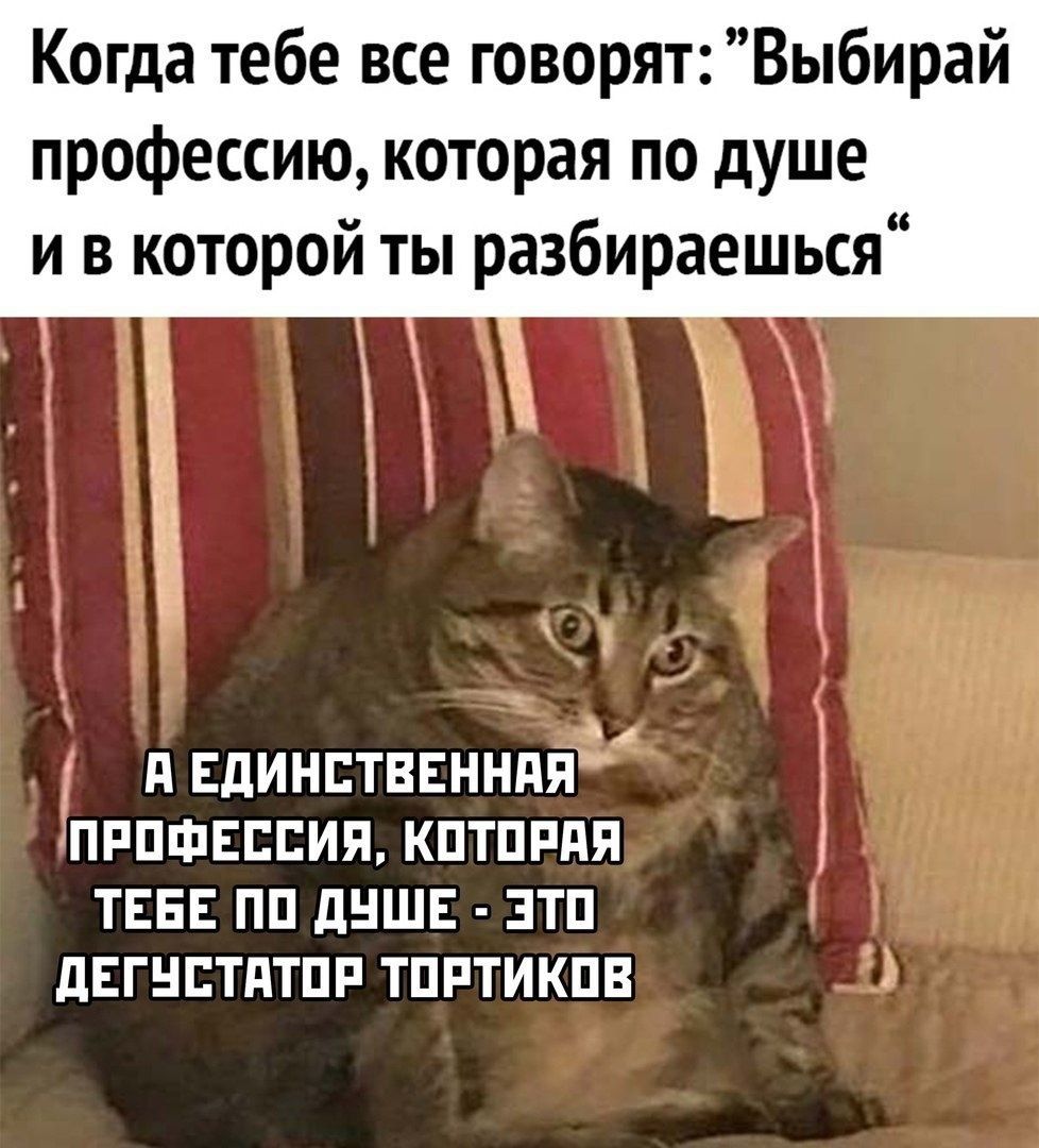 Когда тебе все говорят Выбирай профессию которая по душе и в которой ты разбираешься тив 33 А ЕДИНСТВЕННАЯ ПРПФЕБСИП КПТПРПП ТЕБЕ ПП дНШЕ ЭТП дЕГНЕТдТПР ТПРТИКПЕ