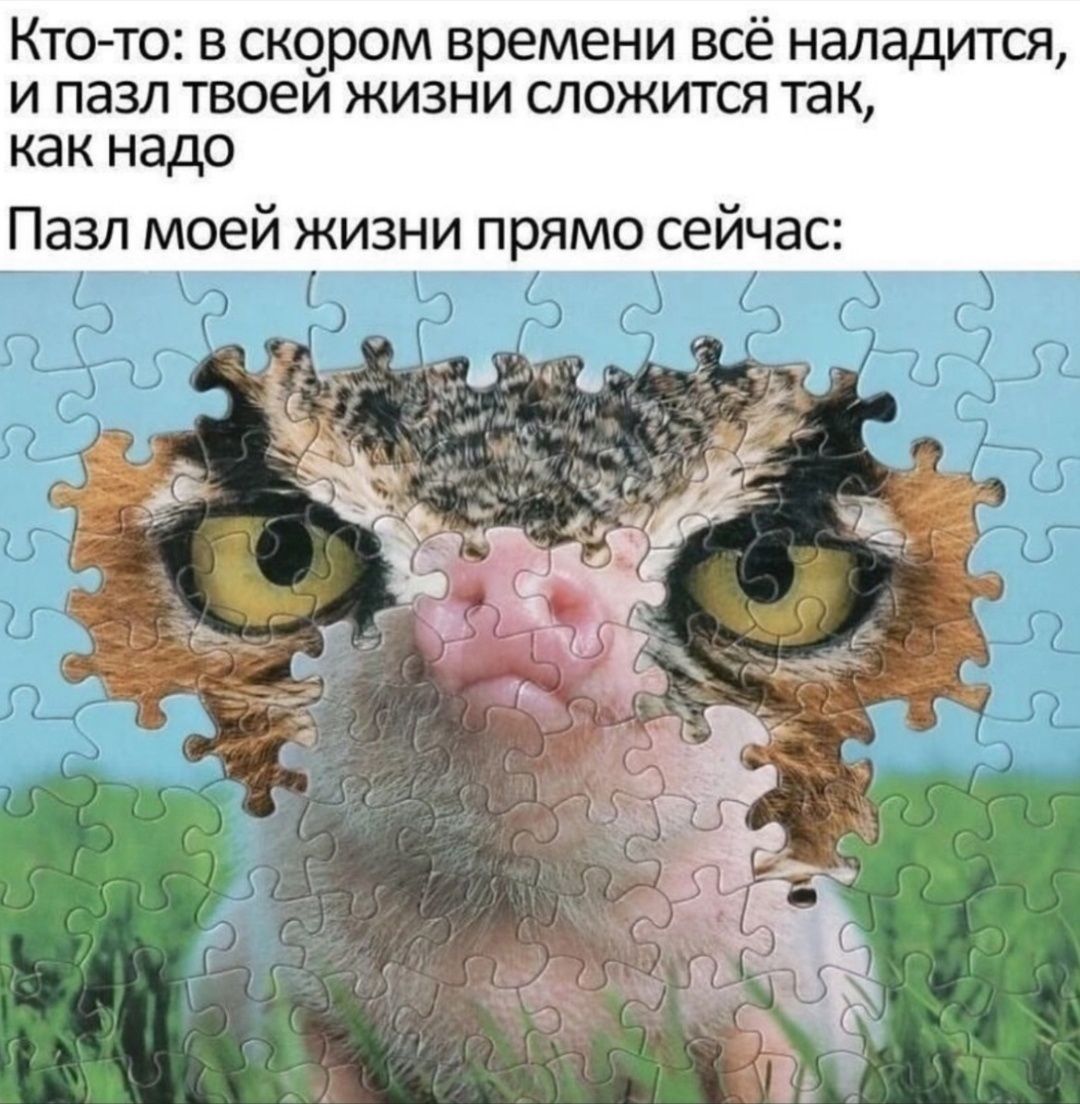 Кто то в скором времени всё наладится и пазл твоей жизни сложится так как надо Пазл моей жизни прямо сейчас