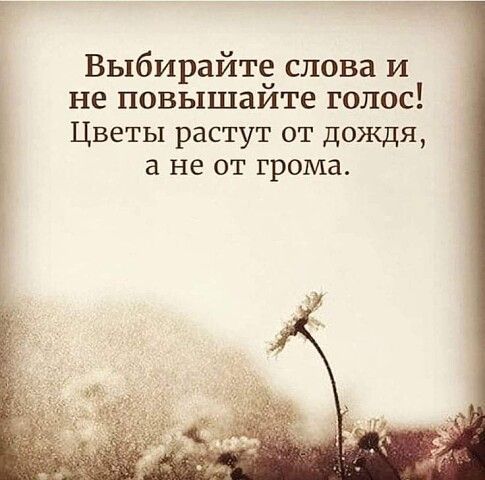 Выбирайте слова и не повышаите голос Цветы растут от дождя а не от грома