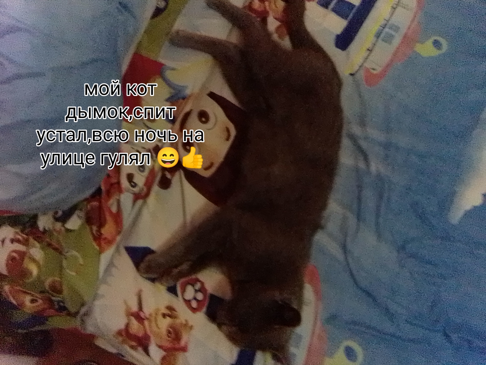 ул Я п 7