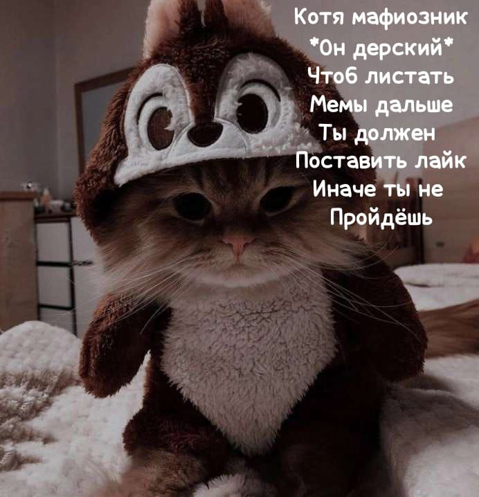 Пройдёшь