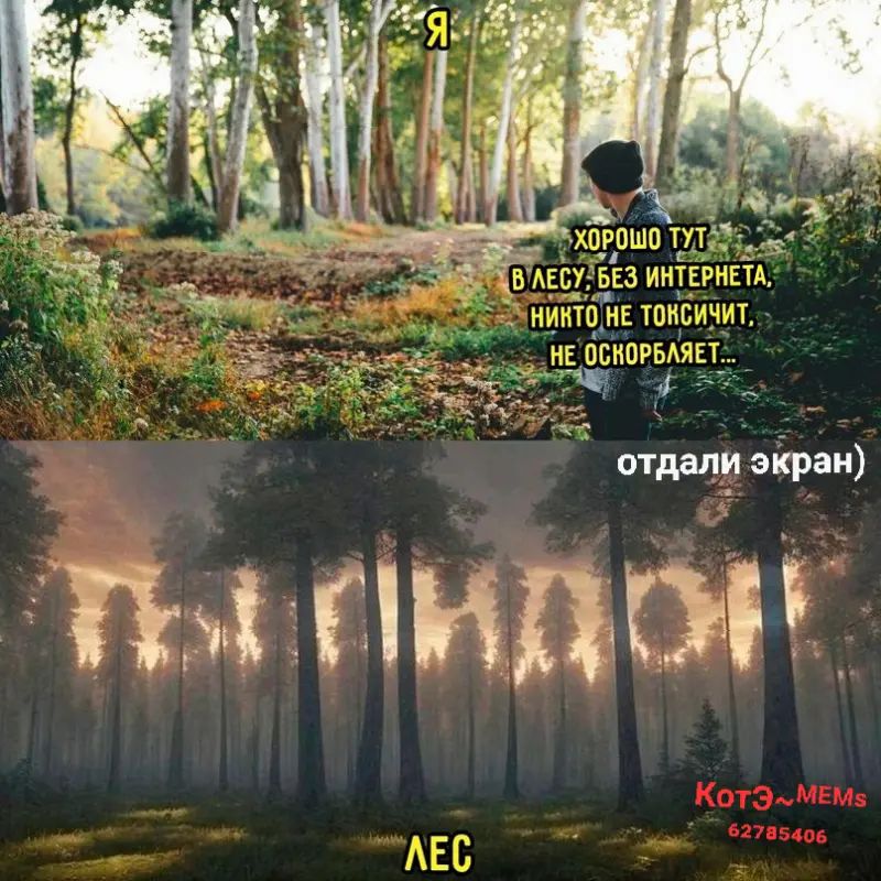 отдал эт дд