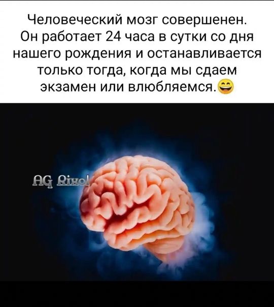 Человеческий мозг совершенен Он работает 24 часа в сутки со дня нашего рождения и останавливается только тогда когда мы сдаем экзамен или впюбпяемсяе