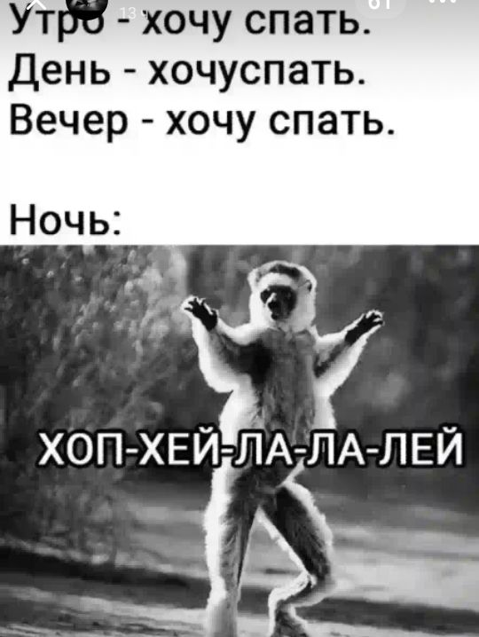 Ут 3 хочу спать День хочуспать Вечер хочу спать