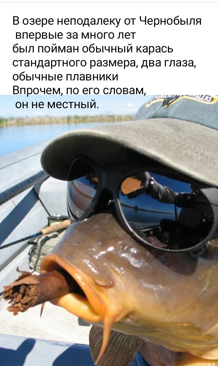 й В озере неподалеку от Чернобыля впервые за много лет был пойман обычный карась стандартного размера два глаза обычные плавники Впрочем по его словам он не местный Щ_____