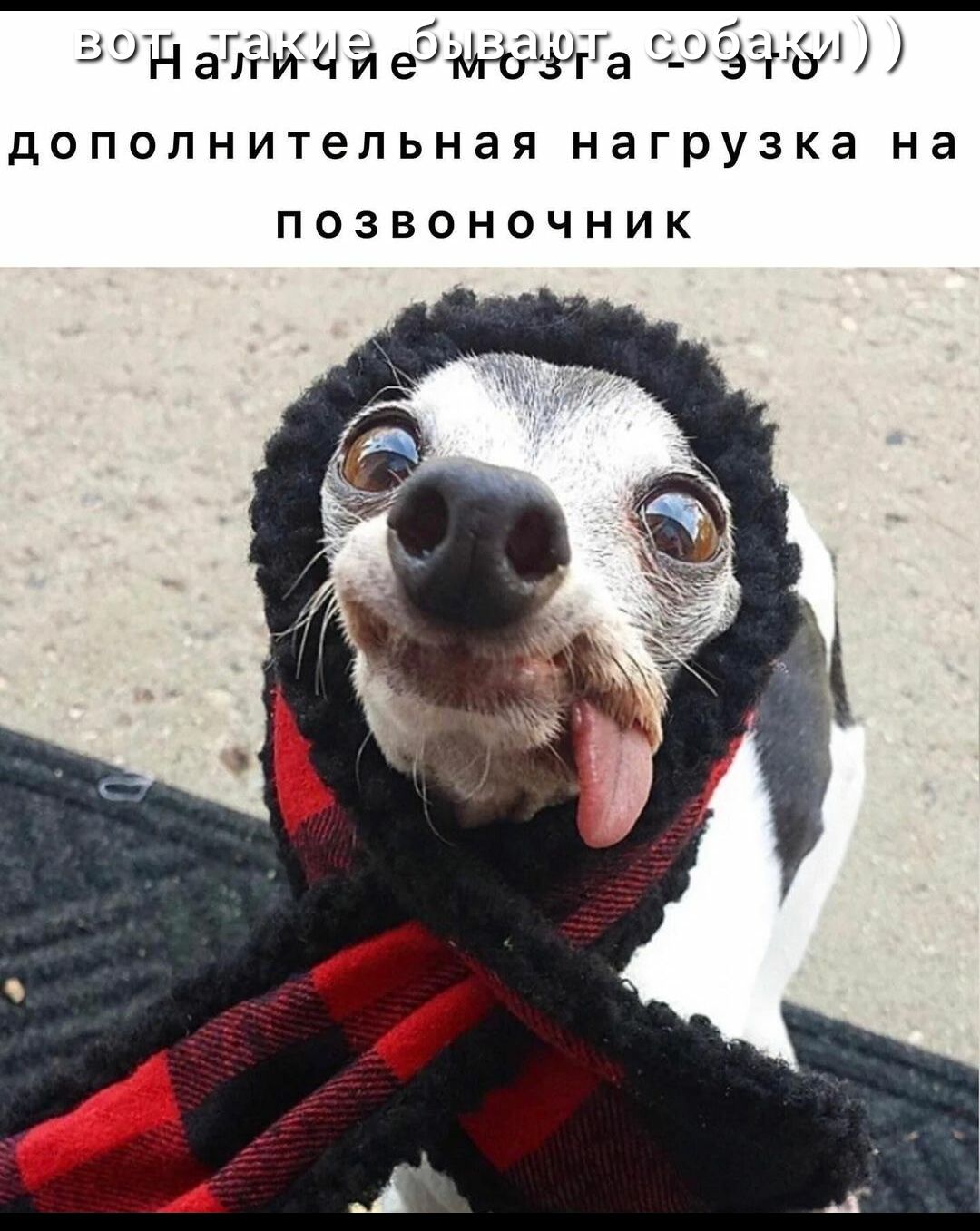 эщщ эти рн та дополнительная нагрузка на ПОЗВОНОЧНИК