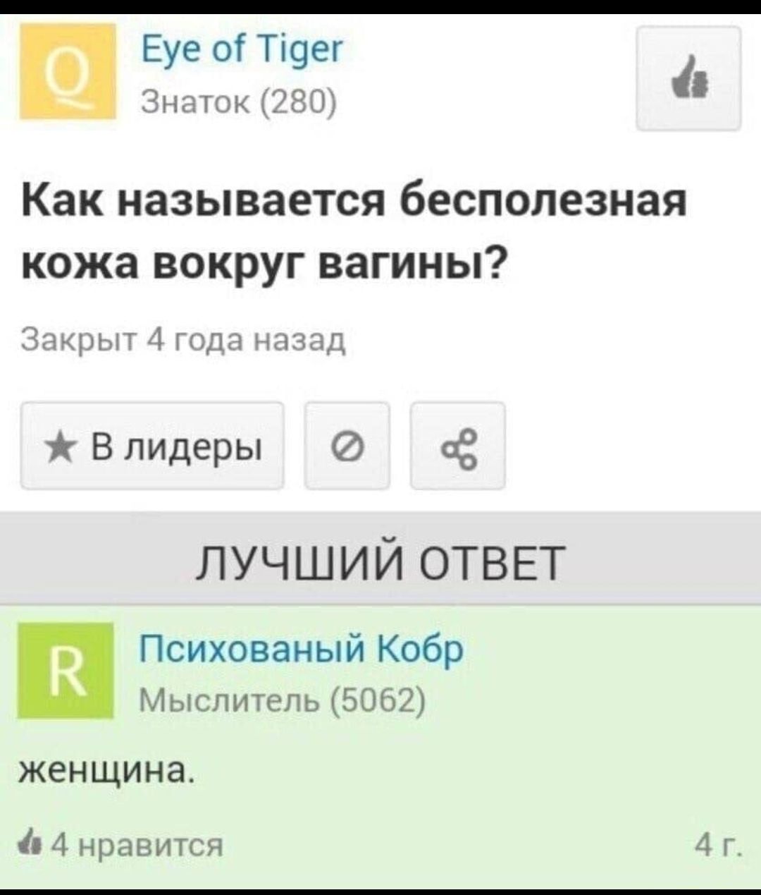 Еуе оіТ9ег Зиучъ чёт Как называется бесполезная кожа вокруг вагины чм гилд д В лидеры сё лучший ОТВЕТ п Психованый Кобр Мыслитель 5062 женщина 4 нравится А г